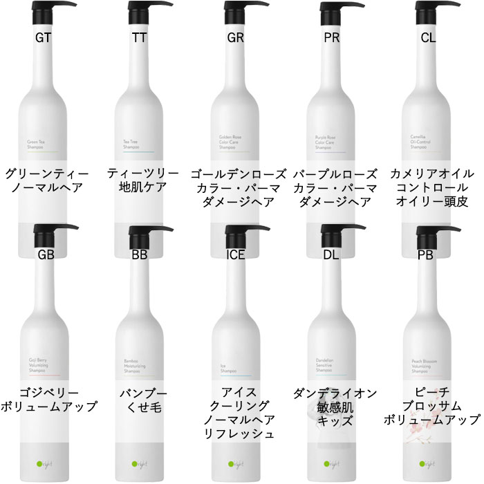 送料無料 2本セット シャンプー 1000ml トリートメント 1000ml ボトル 選べる10タイプ+3タイプ オーライト O'right ビーエックス｜nail-studio｜02