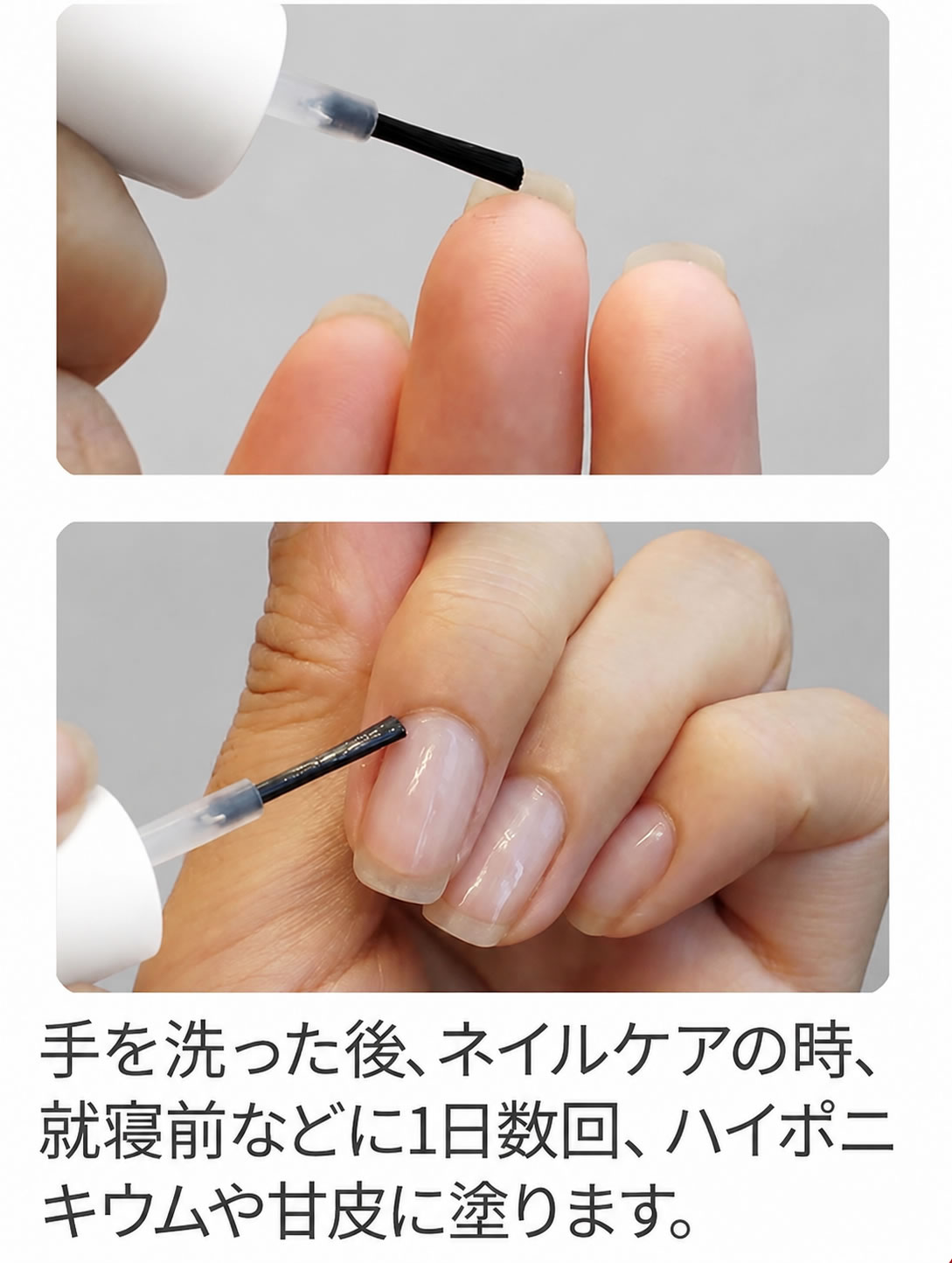 アンティセプト LCN公式認定店 正規品 爪の清潔液 清浄液 美容液 保護