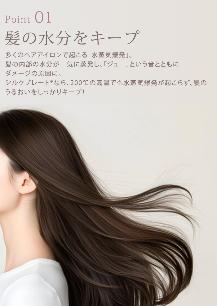 正規品 絹女 KINUJO 2WAY IRON キヌージョ ツーウェイアイロン