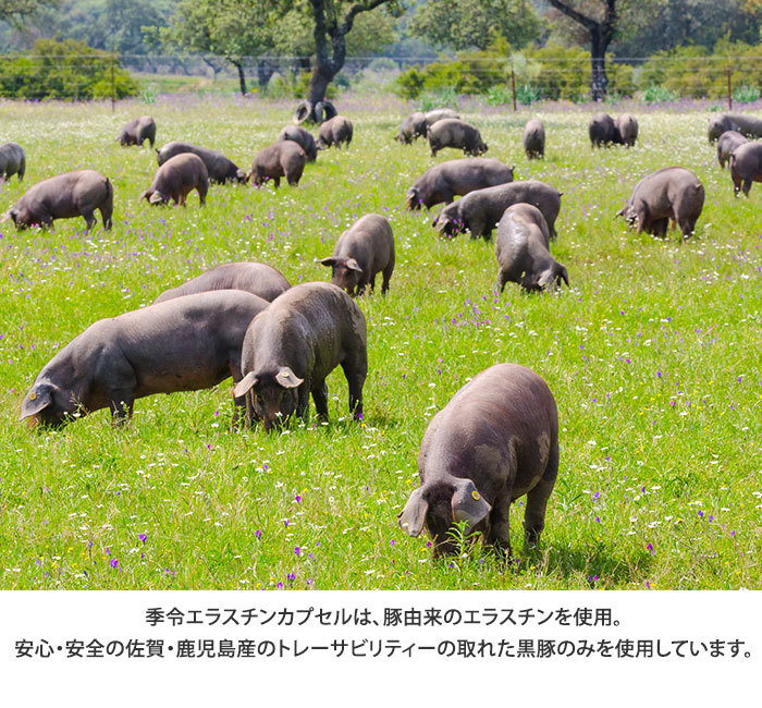 季令 KIREI エラスチンカプセル 100粒 高純度エラスチン配合【DM