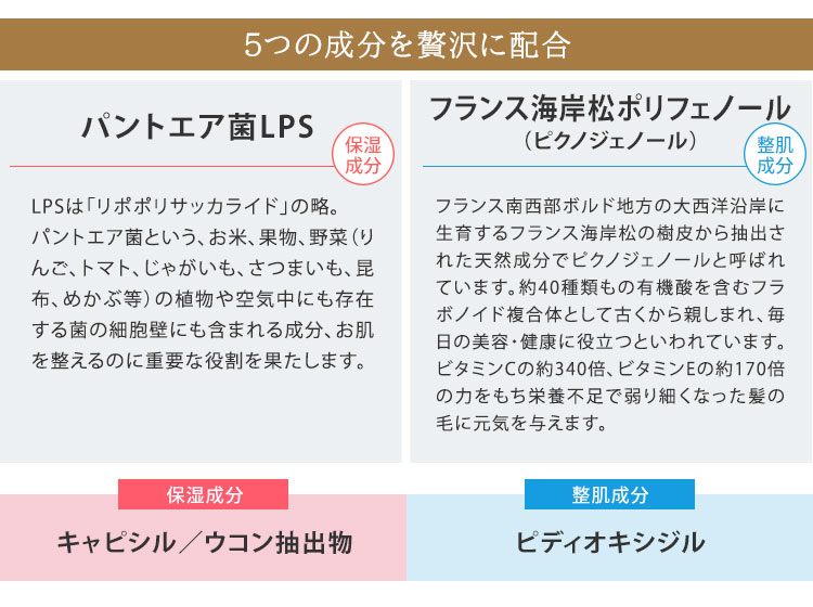 博龍堂 トリカH 60ml HAKURYUDO 女性用 頭皮用美容液メール便無料(DM