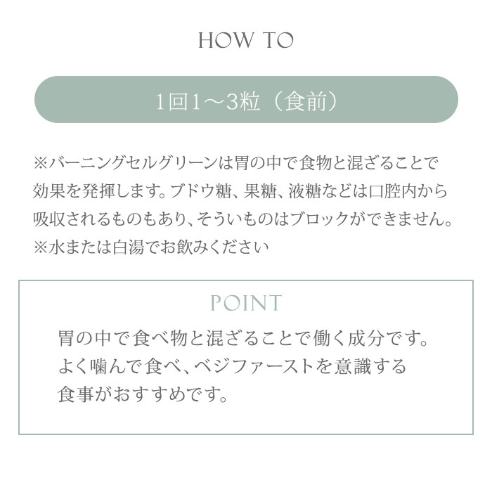 HANMI バーニングセル グリーン 90粒入 ハンミ 漢方サプリ 漢方