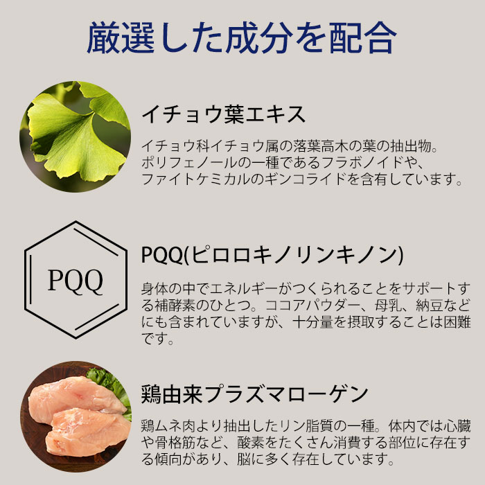 BIOAGEN ブレインズ バイタル 3粒×30包 約1ヶ月分 BRAINESVITAL BIOAGEN ブレインズ バイタル 3粒×30包 約1ヶ月分 BRAINESVITAL