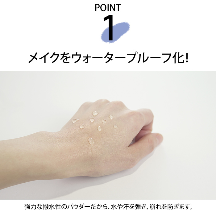 ビューティープロテクター BPパウダーA フェイスパウダー 詰替 楽天市場】☆新商品☆薬用美白BPパウダー詰め替え用レフィル13g