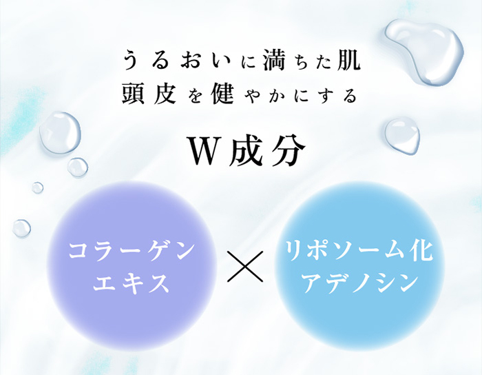 2個セット クリムヴィータ リポソームコラローション 200mL リポソーム