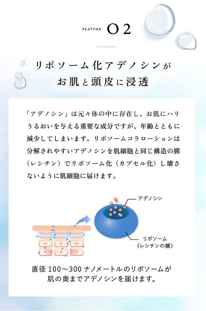2個セット クリムヴィータ リポソームコラローション 200mL リポソーム