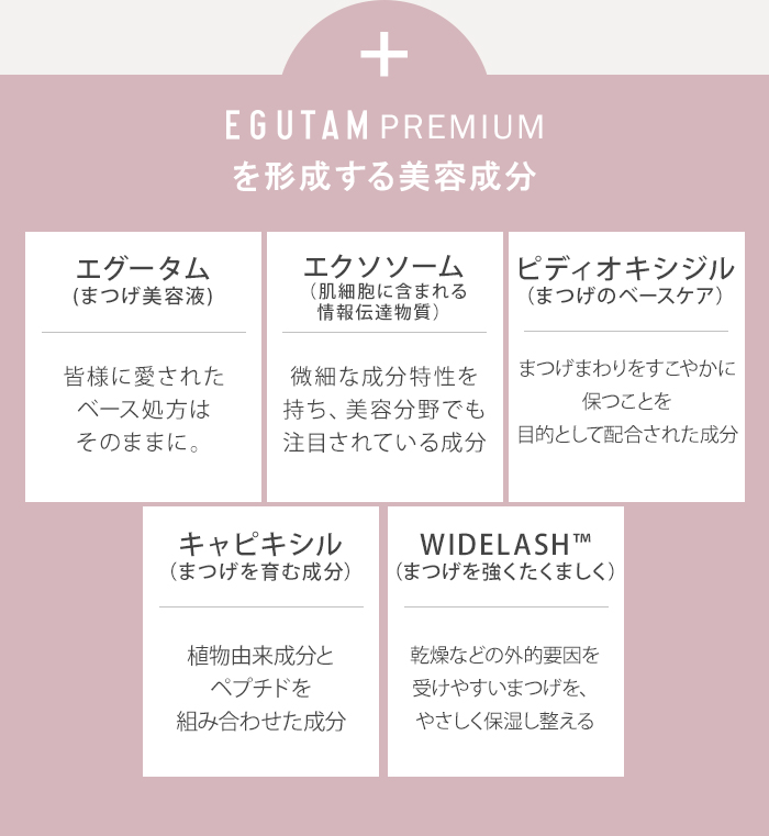 予約 2本セット エグータム プレミアム EGUTAM まつ毛美容液 美容液