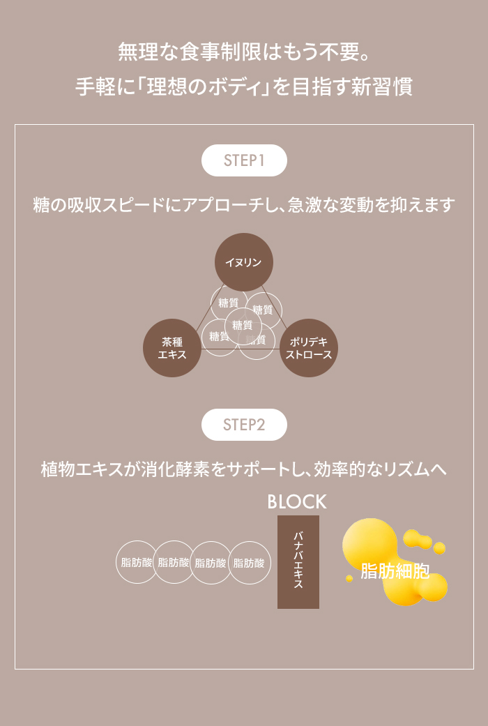 カロキシーカット2箱 カロキシーカット ダイエット サプリメント 脂質吸着 糖質制限 善玉菌