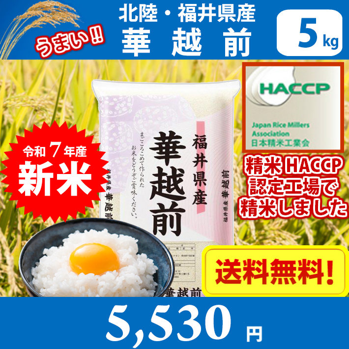 ハナエチゼン 米 5キロ 令和7年産 精米 北陸・福井県産 華越前
