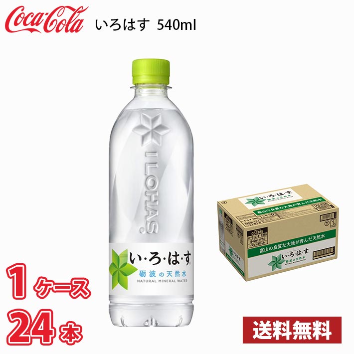 ゆめみづほ 米 10キロ 令和6年産 精米 北陸・石川県産 10kg 送料