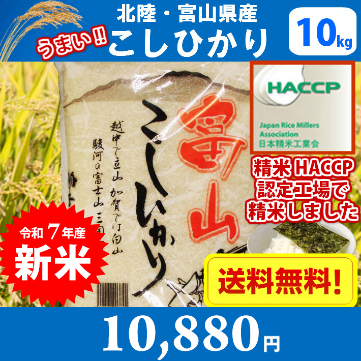 コシヒカリ 米 10キロ 令和7年産 新米 精米 北陸・富山県産こしひかり