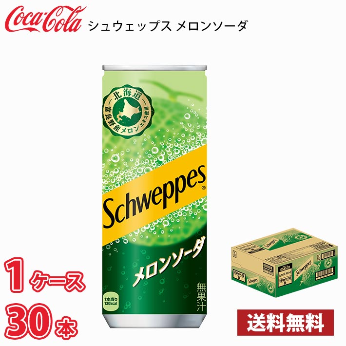 コカ・コーラ シュウェップス メロンソーダ 250ml 缶 60本（2ケース
