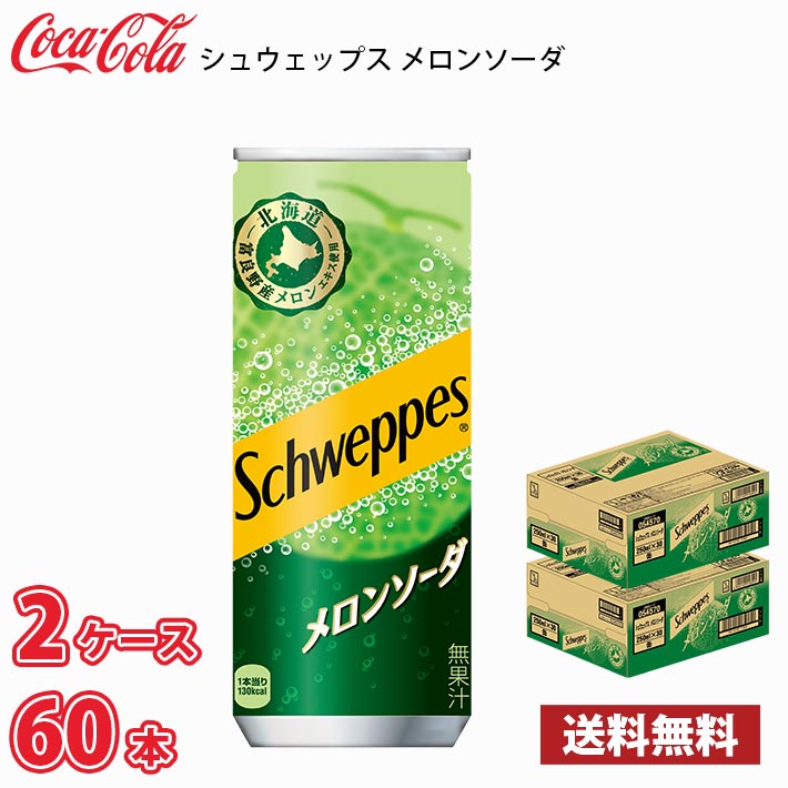 コカ・コーラ シュウェップス メロンソーダ 250ml 缶 60本（2ケース