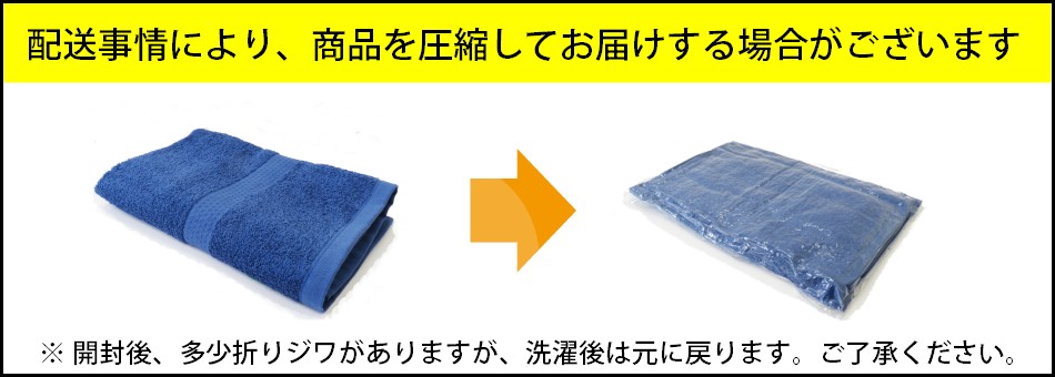 ゆめみづほ 米 10キロ 令和6年産 精米 北陸・石川県産 10kg 送料