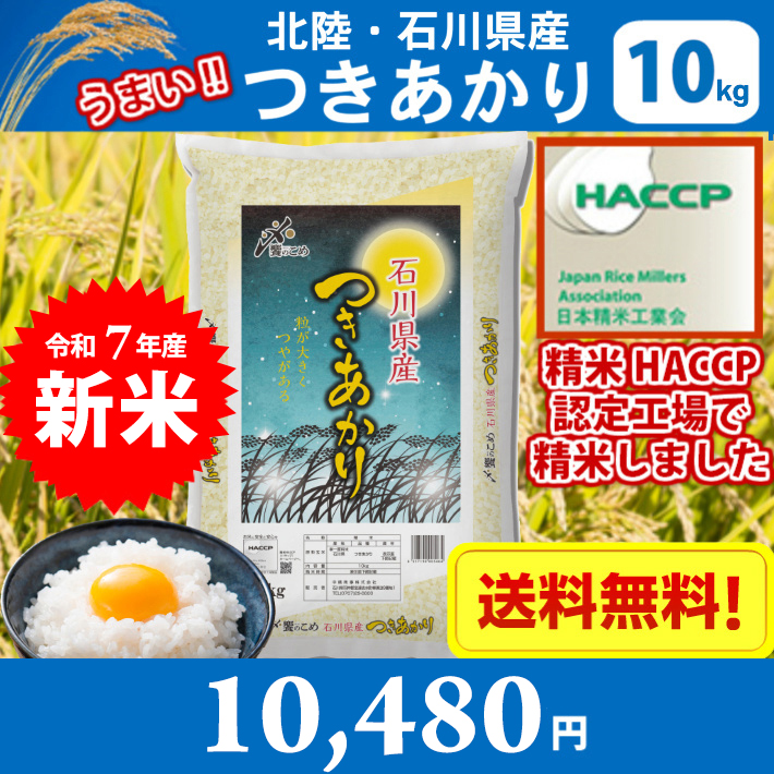 米 10キロ 令和7年産 新米 精米 北陸・石川県産 つきあかり 10kg