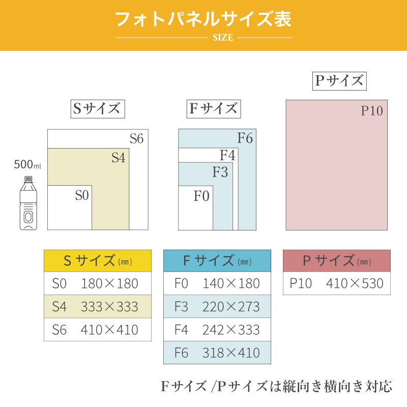 DS対応｜自分でデザインできる フォトパネル F6サイズ キャンバス 写真