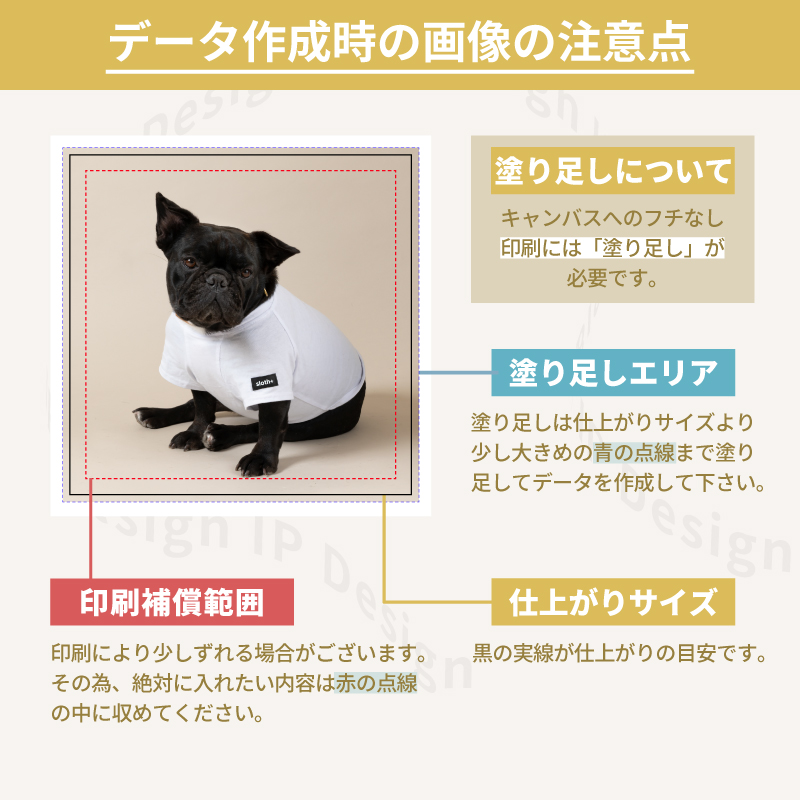 DS対応｜自分でデザインできる フォトパネル F6サイズ キャンバス 写真