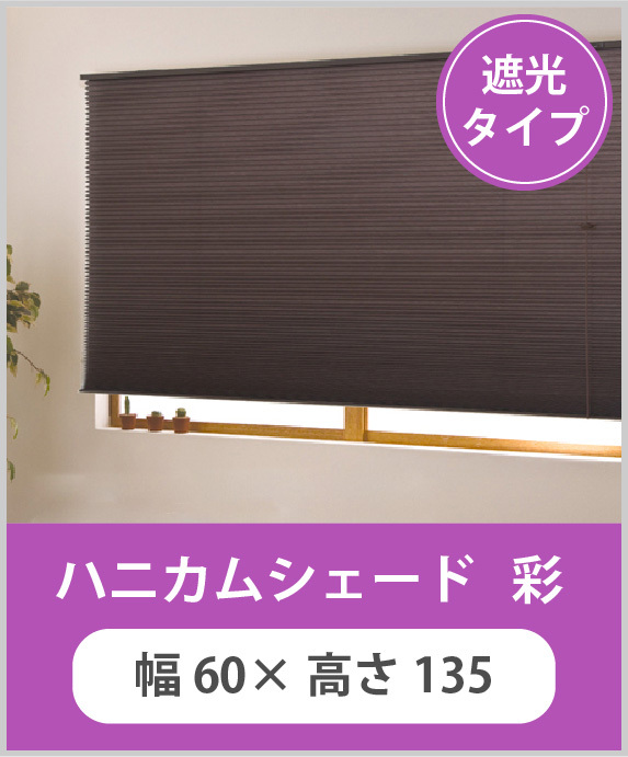 プリーツスクリーン ハニカムシェード 無地 遮光 調光 規格品 彩 幅40×高さ135cm :fl6400:内装応援団 - 通販 -  Yahoo!ショッピング