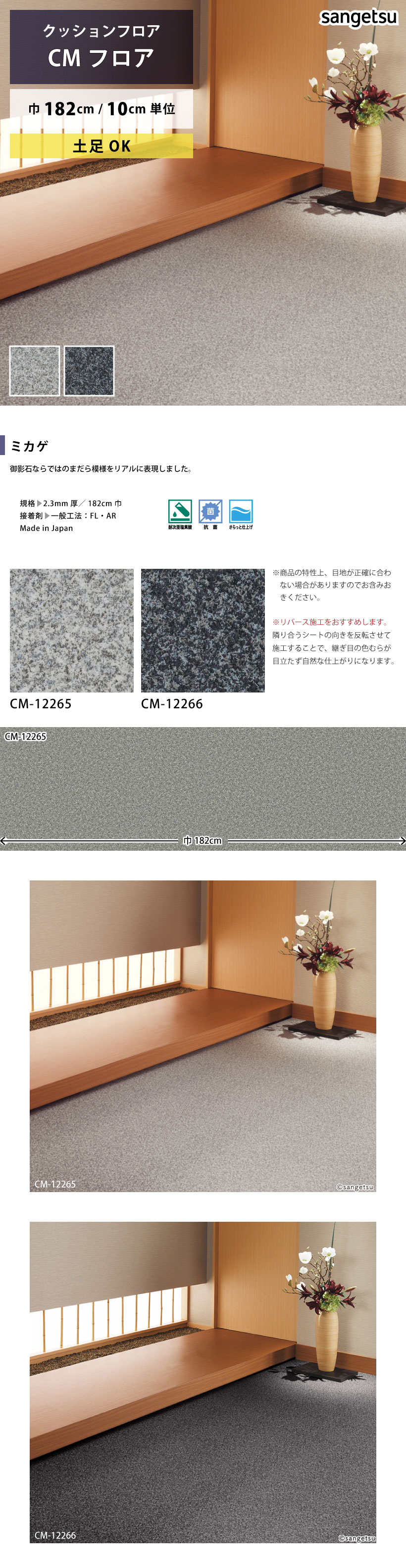 詳細画像