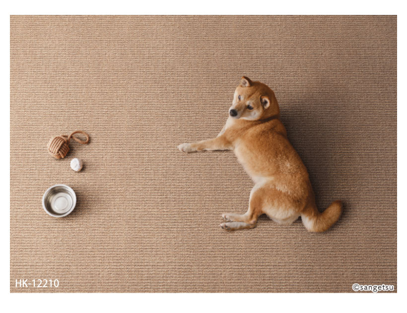 サンゲツ（SANGETSU） わんにゃん消臭フロア ハード HOME FLOOR 182cm