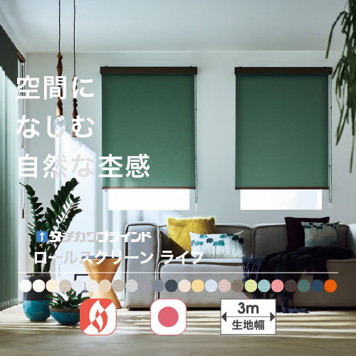 最大☆10%オフクーポン】 ロールスクリーン 防炎 ロールカーテン