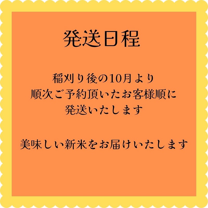 新米 真空パック コシヒカリ 令和4年 20kg 備蓄 新潟県産 白米 精米 単一原料米 ブランド米 贈答 ギフト お祝い 金瑞穂  :shinnmaiyoyaku20kg:なじらね広場 - 通販 - Yahoo!ショッピング