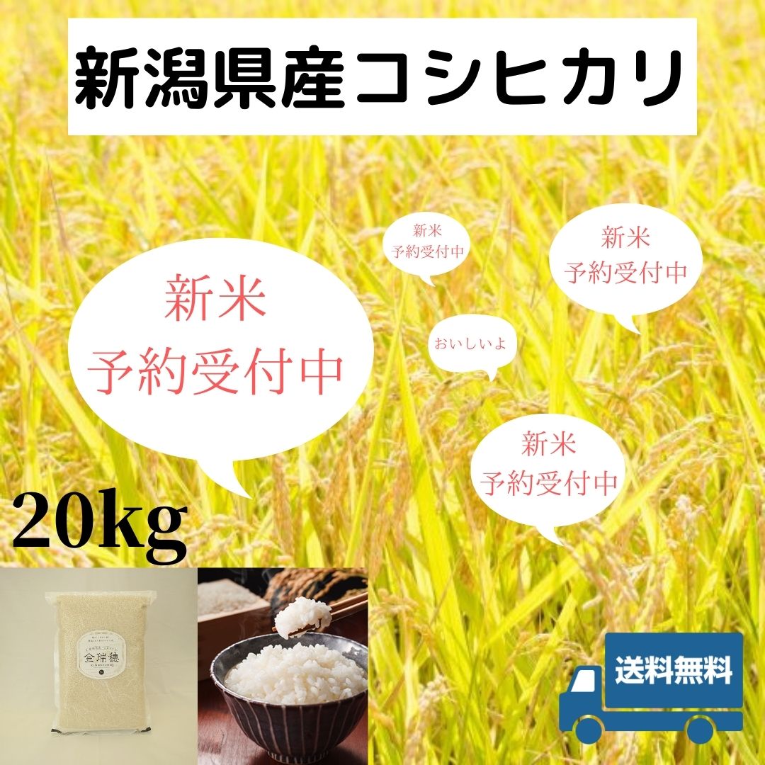 新米 真空パック コシヒカリ 令和4年 20kg 備蓄 新潟県産 白米 精米 単一原料米 ブランド米 贈答 ギフト お祝い 金瑞穂  :shinnmaiyoyaku20kg:なじらね広場 - 通販 - Yahoo!ショッピング