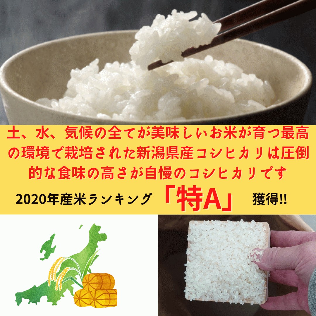 新潟県産 コシヒカリ 真空パック 10kg 新米 2022年 令和4年 米 ごはん 備蓄 精白米 送料無料 美味しいお米 産地直送 金瑞穂  :20220002:なじらね広場 - 通販 - Yahoo!ショッピング