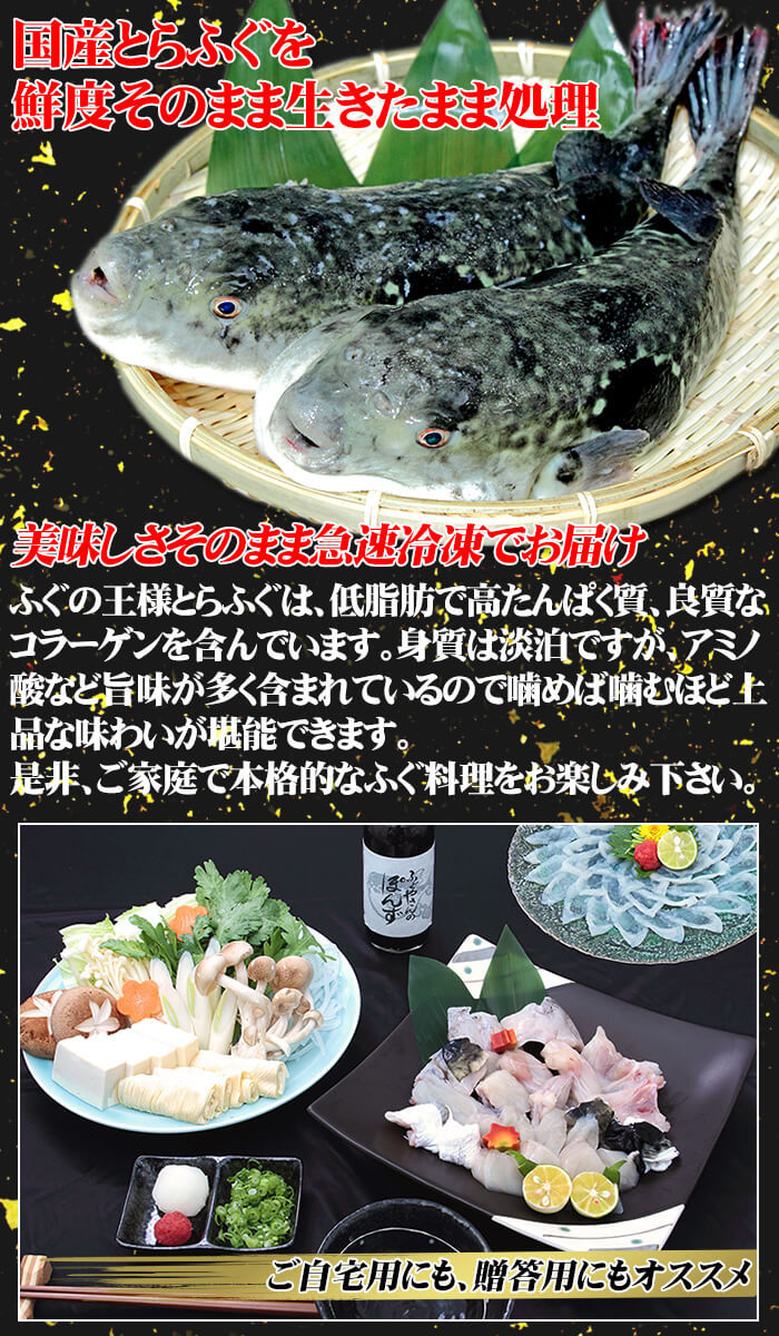 いているの ふぐ ふぐなべ 国産 てっさ付きとらふぐ鍋セット 約2人前 送料無料 てっちり ふぐ刺し ふぐちり fugu2 父の日 ギフト プレゼント  新鮮うまいもん市場 - 通販 - PayPayモール めにお - shineray.com.br