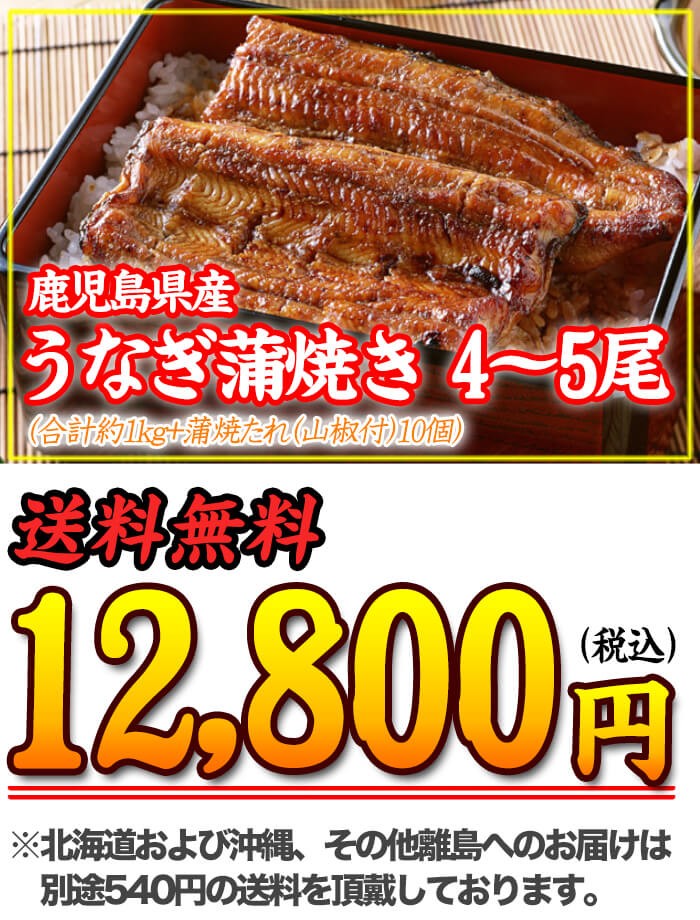 うなぎ 蒲焼き 国産 5尾/約1kg 送料無料 鰻 うなぎ 蒲焼 ひつまぶし 有頭 真空包装 unagi5bi 贈答 ギフト プレゼント :unagi- 1kg:新鮮うまいもん市場 - 通販 - Yahoo!ショッピング