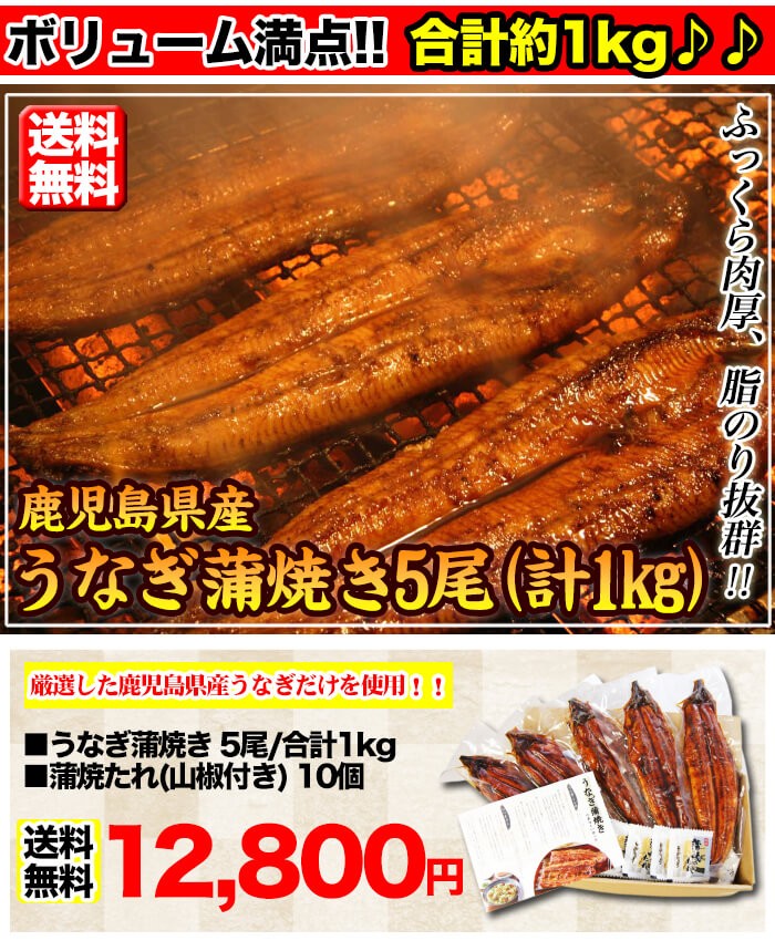 うなぎ 蒲焼き 国産 5尾/約1kg 送料無料 鰻 うなぎ 蒲焼 ひつまぶし 有頭 真空包装 unagi5bi 贈答 ギフト プレゼント :unagi- 1kg:新鮮うまいもん市場 - 通販 - Yahoo!ショッピング