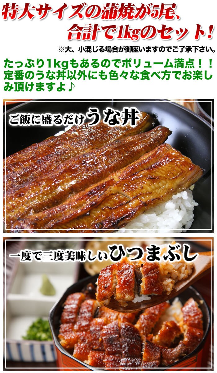 うなぎ 蒲焼き 国産 5尾/約1kg 送料無料 鰻 うなぎ 蒲焼 ひつまぶし 有頭 真空包装 unagi5bi 贈答 ギフト プレゼント :unagi- 1kg:新鮮うまいもん市場 - 通販 - Yahoo!ショッピング