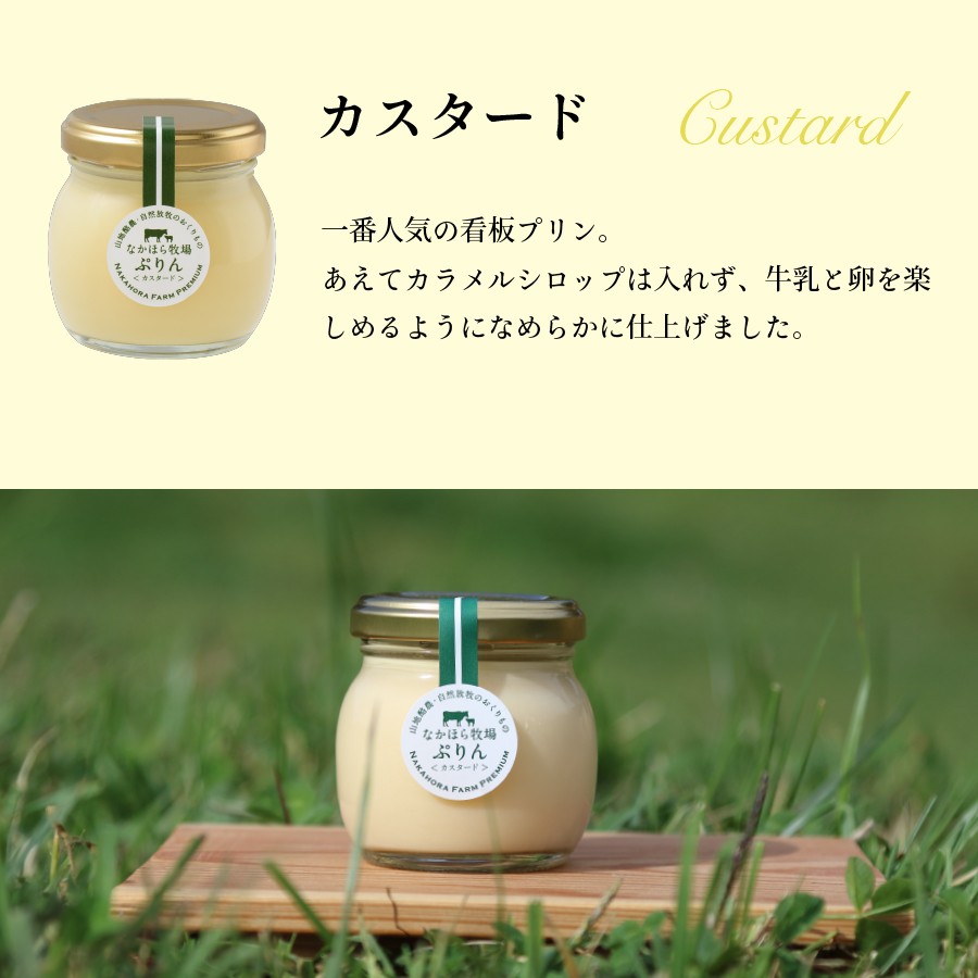 なかほら牧場 【5%OFF】父の日 2025 ギフトプリンカスタード6個