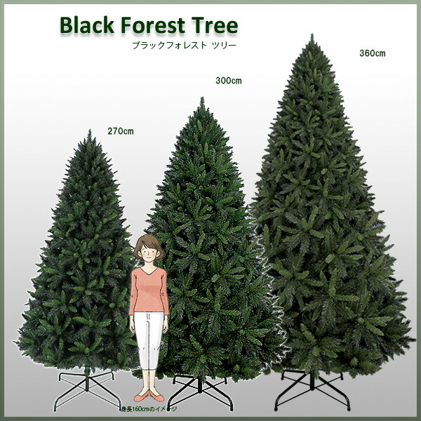 クリスマスツリー リアル 大型 大きい 300cm ブラックフォレストツリー