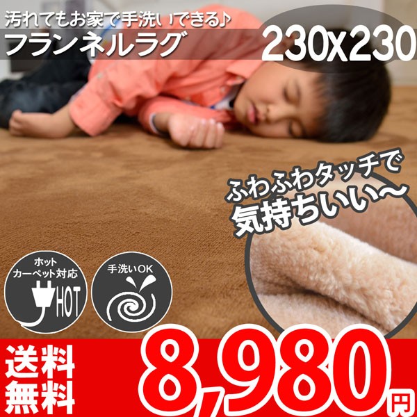 カーペット　ラグ　冬　あったか　5畳　230 330 大きい　厚い　大 r-0124103.jpg