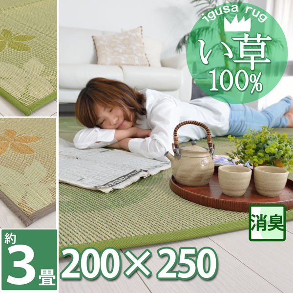 専用出品　2点まとめ売りラグマット観葉植物インテリア 光触媒 光の楽園ユーカリ【インテリアグリーン 人工観葉植物