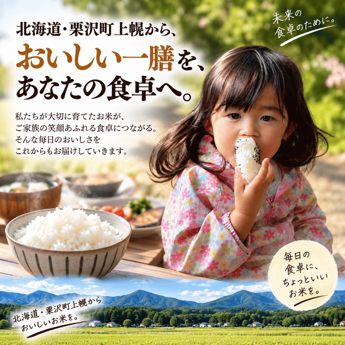 ゆめぴりか 新米 お米 10kg 北海道産 令和8年産 5kg 2袋 白米 送料無料