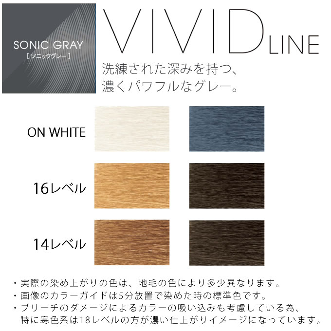 hoyu（ホーユー） イロジカケ ビビットライン ソニックグレー 80g 医薬