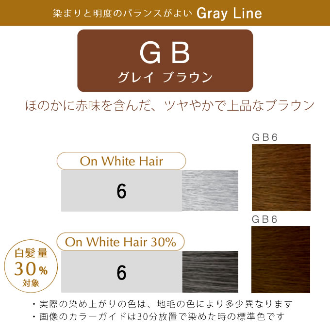 GRAY COLOR（グレイカラー）｜PROSTEP（プロステップ）｜hoyu