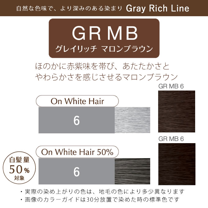 ホーユー プロステップ グレイカラー GR MB 6 グレイリッチマロン 