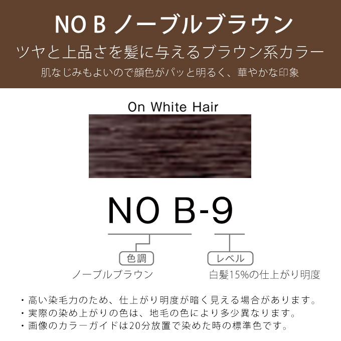 ホーユー プロマスター アプリエグロー NO B-9 ノーブルブラウン 80g 医薬部外品｜nakano-dy｜02