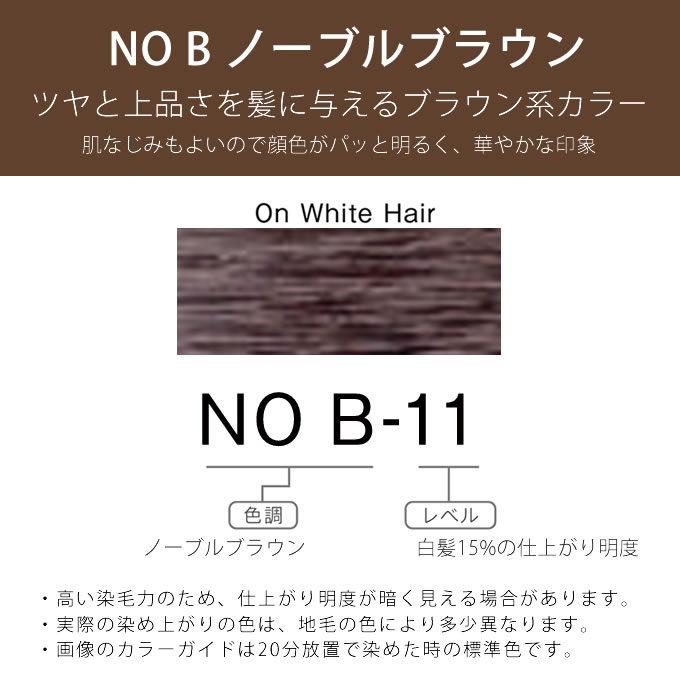 ホーユー プロマスター アプリエグロー NO B-11 ノーブルブラウン 80g 医薬部外品｜nakano-dy｜02