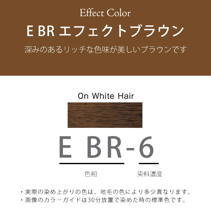 PROMASTER（ホーユー） ホーユー プロマスター E BR-6 エフェクト