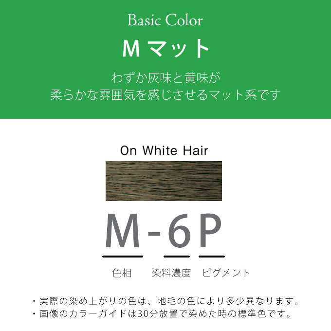 PROMASTER（ホーユー） ホーユー プロマスター ピグメント M-6P マット