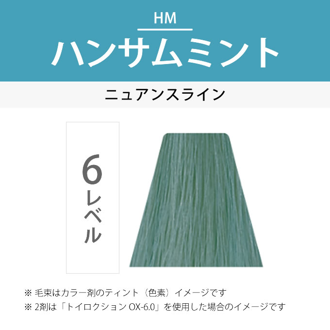 デミ コスメティクス トイロクション 6/HM（ハンサムミント）第1