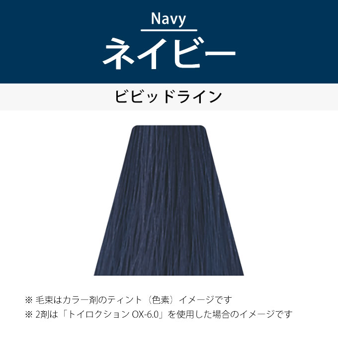 デミ コスメティクス トイロクション ネイビー 第1剤 80g 医薬部