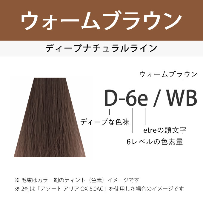 ASSORT ALLIA デミ アソート アリア エトレ D-4e/CB クールブラウン