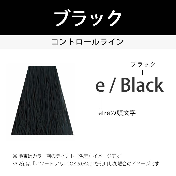 ASSORT ALLIA デミ アソート アリア エトレ e/Black ブラック 80g（第1