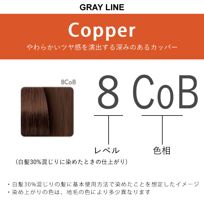 COLOR CONSCIOUS ナンバースリー カラーコンシャス グレイライン