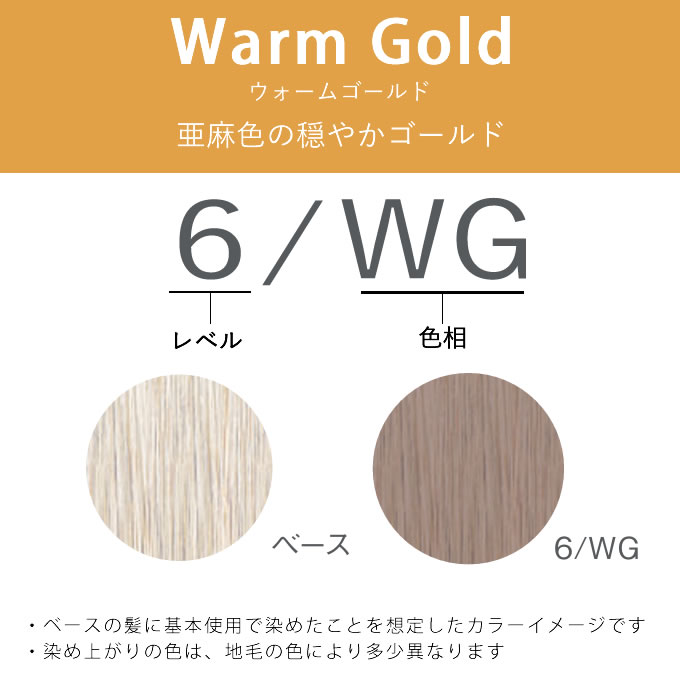 HUE ナンバースリー ヒュウ グロス 6/WG ウォームゴールド 60mL（第1剤